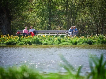 Wasser_Bank_Pärchen_Frühjahr_Mai_Osterbergsee(c)-Stadt-Bad-Gandersheim-Marco-Uphaus.jpg