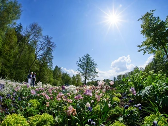 Sonne_Blumen_Menschen-weit-weg_Sonne_Wasser_Frühjahr_Mai_Osterbergsee(c)-Stadt-Bad-Gandersheim-Marco-Uphaus.jpg