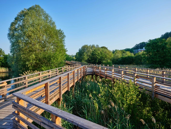 Aue-Park_Holzsteg_Juni_Sommer6_(c)-Marco-Uphaus.jpg