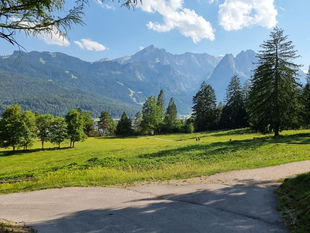 Kramerplateauweg Breite Wiese mit Bäumen und Weg vor hoher Bergkulisse unter blauem Himmel