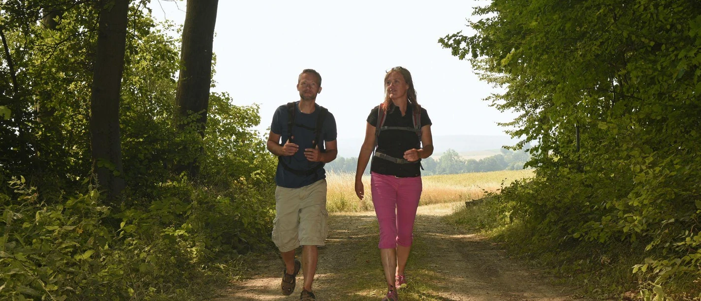 Zwei Wandernde mit Rucksäcken auf einem Waldweg im Grünen