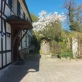 Gut Ehlenbeck in Haan Fachwerkhaus mit blühendem Baum vor der Tür, gepflasterter Weg und Gartenstühle unter blauem Himmel.