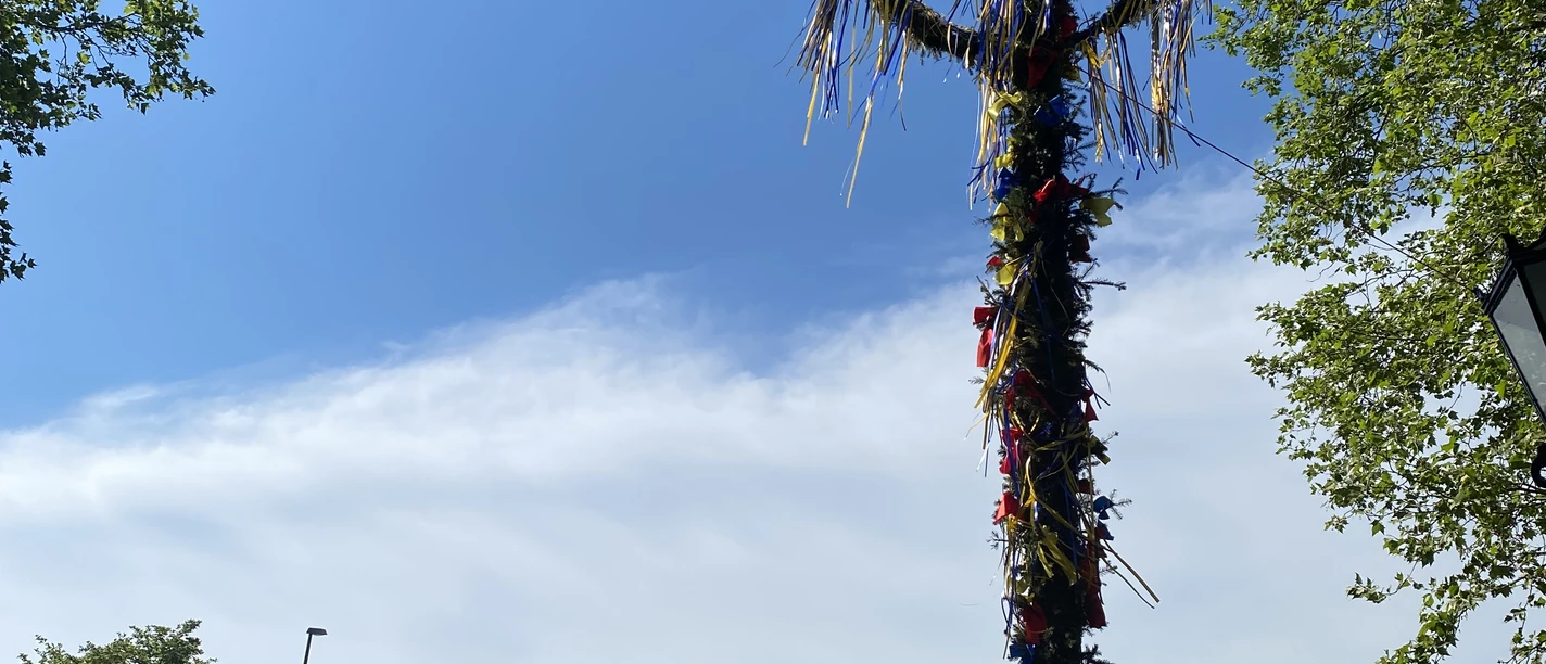 Maimarkt_Emden2.jpg De meiboom in de stadstuin. Op de achtergrond de Ratsdelft