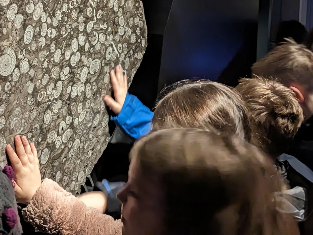 HEZ Kids berühren eine 330 Mio Jahre alte Fossilienplatte Bildrechte HEZ Foto Brigitte Moritz.jpg