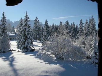 Winterblick