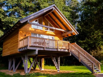 Baumhaus (c) Regenbogen AG.jpg