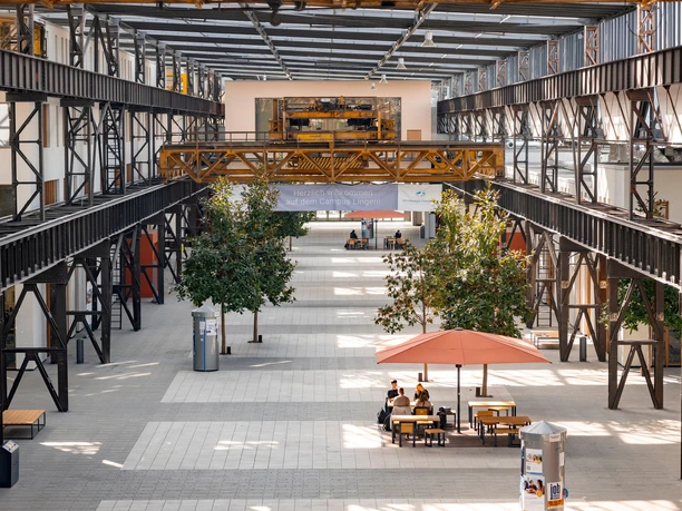 764_HS_OS_Campus_Lingen_Sep_2023-2.jpeg Innenraum der ehemaligen Werkshalle mit Stahlträgern, Bäumen, Sitzbereichen und Studierenden am Tisch