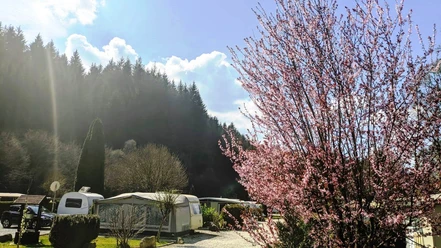 Campingplatz Wisperpark