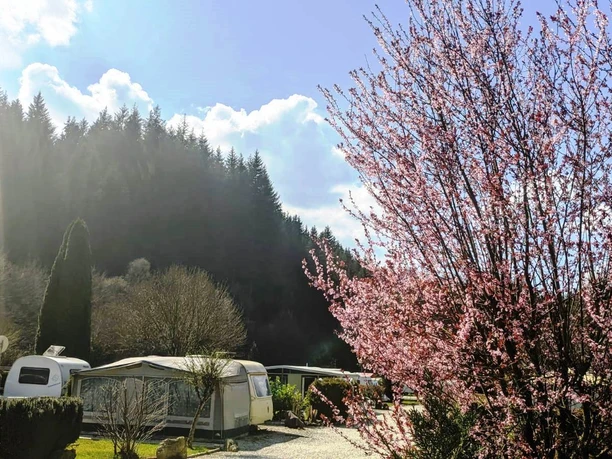 Campingplatz Wisperpark