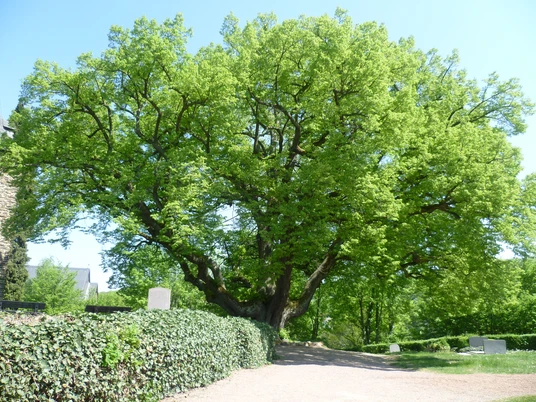 Wohnmobilstellplatz Aarbergen-Michelbach