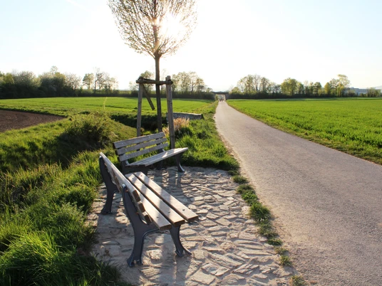 Wohnmobilstellplatz Lindenhof
