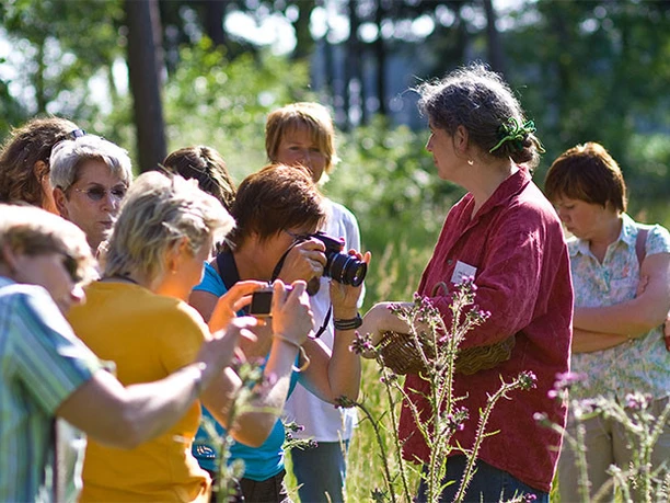 Wildkräuterführung mit Jutta Becker-Ufermann Wildkräuterführung mit Jutta Becker-Ufermann
