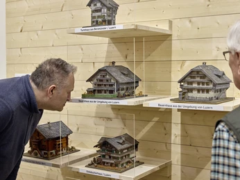 W1A0397 Gletschergarten Ausstellung Chalet 60 06 10