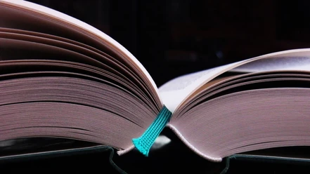 lesung auf juist anne prettin die vier gezeiten jubiläum buchhandlung koch.jpg lesung auf juist anne prettin die vier gezeiten jubiläum buchhandlung koch