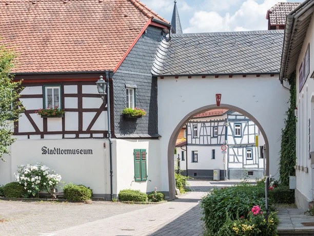 Stadttor in Wehrheim