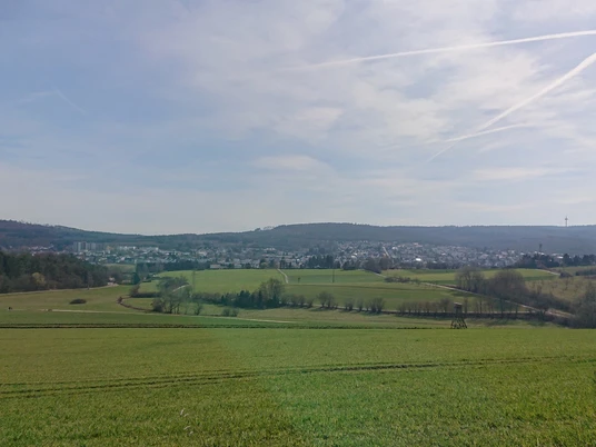 Taunusstein inmitten grüner Landschaft