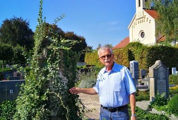 Ein Friedhof erzählt Auf dem Bild steht ein älterer Mann vor einem überwucherten Grabstein auf einem Friedhof.