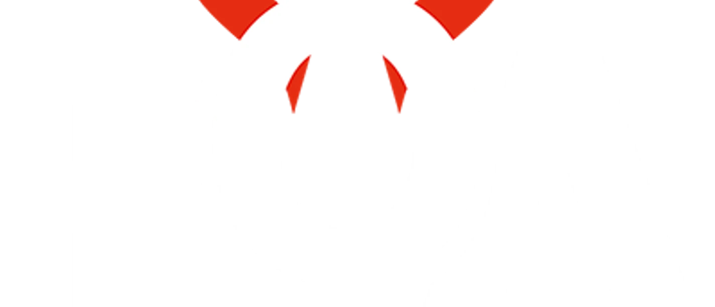fiebig-open-air-schoeningen-logo2x.png