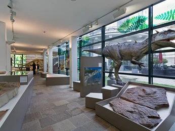 Blick in die NaturWelten_Dinos (c) Landesmuseum Hannover.jpg