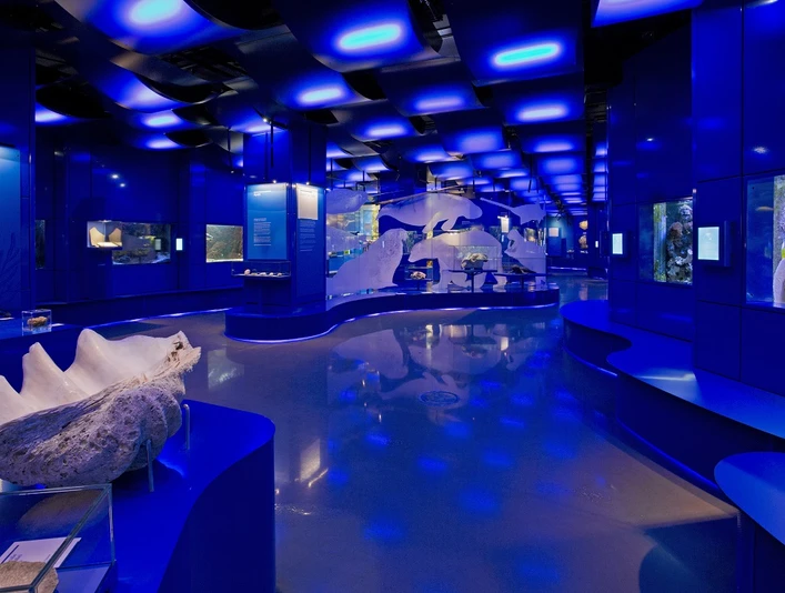 _E8C5544_Blick in die WasserWelten (c) Landesmuseum Hannover_mail.jpg