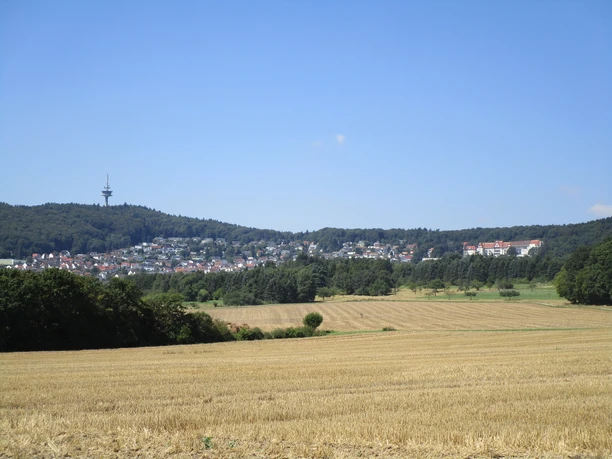 Kelkheim