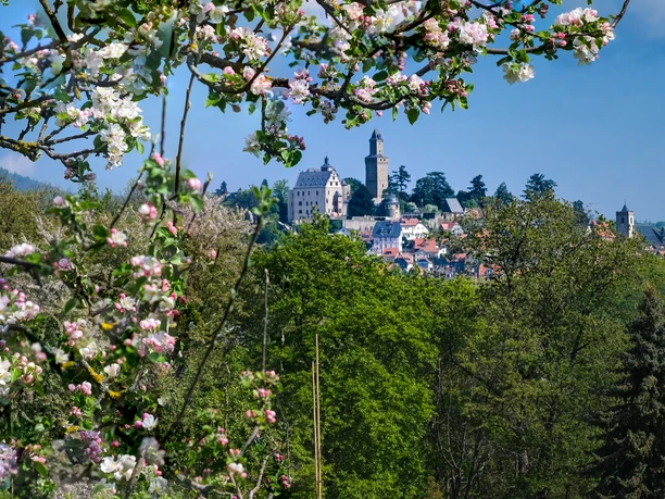Kronberg - Blick auf Burg