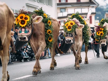 Veranstaltung Entlebucher Alpabfahrt 2023 Schuepfheim Melchior Bürgi (30)