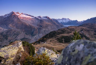 Aletsch Arena - Aussicht vom Riederhorn auf den Grossen Aletschgletscher