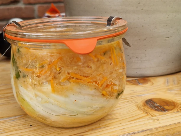 Grüne Stunde - Fermentieren