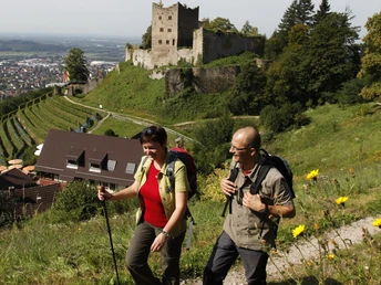 Schauenburg Oberkirch
