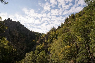 Bodetal