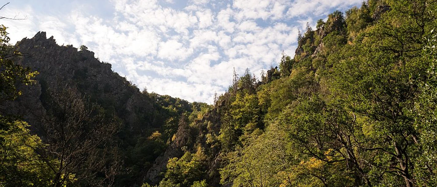 Bodetal