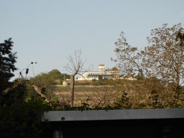Blick auf Weinberge mit Friedensburg Blick auf Weinberge mit Friedensburg