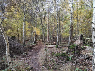 Bloßenberg-Route