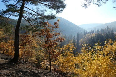 Christianseck im Herbst