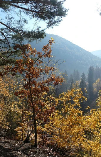 Christianseck im Herbst