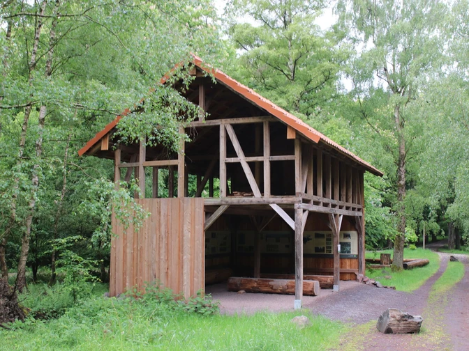 Tannendriesch Pavillon