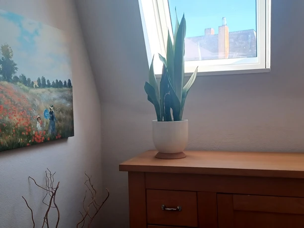 2_Steckhan_FeWo_Eingang_©Gerda Steckhan.jpg