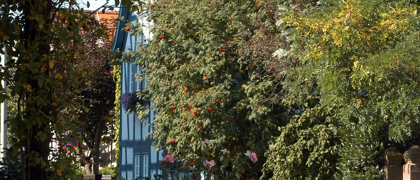 Liederbach am Taunus