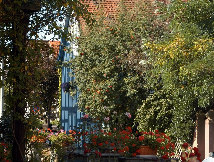 Liederbach am Taunus