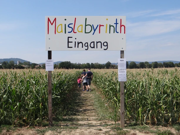 Maislabyrinth Liederbach