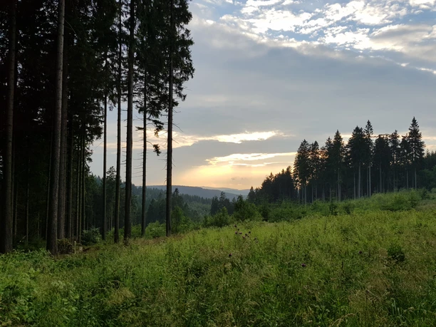 Unterwegs auf dem Medebacher Bergweg