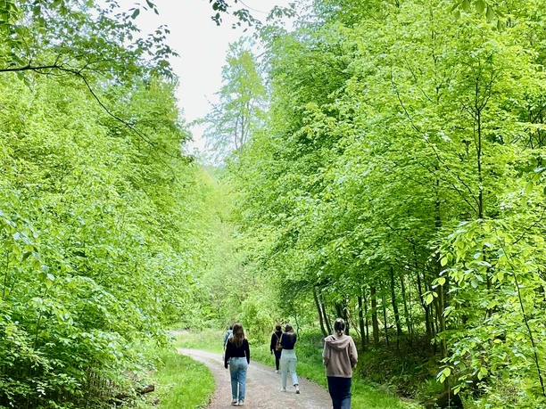 Waldbaden, Aktiv, Natur, ©Einbeck Tourismus (1).jpeg