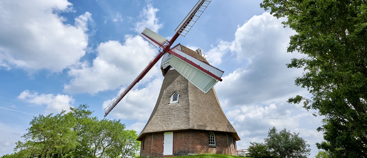 Mühle Bad Bederkesa - Florian Trykowski.jpg
