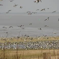 DSC05240.jpg