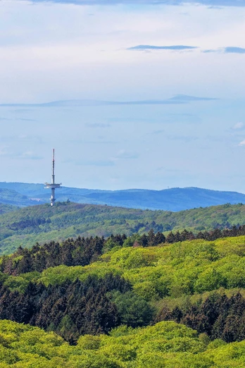 Papenbrink_TWW_Bernd-Kuhlmann Papenbrink_TWW_Bernd-Kuhlmann