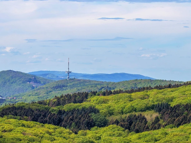 Papenbrink_TWW_Bernd-Kuhlmann Papenbrink_TWW_Bernd-Kuhlmann