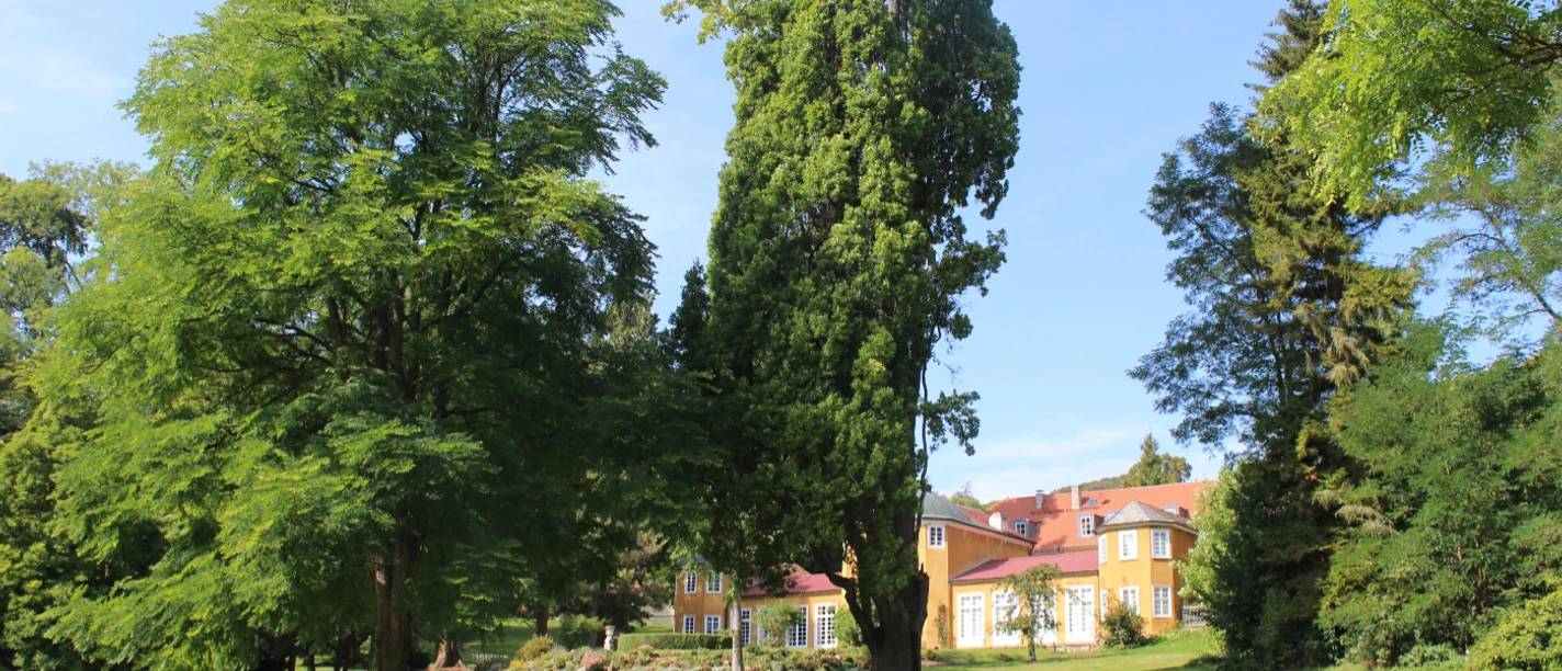 2021-06-10_Gut-Escheberg_ccbySchuesslerTAGNPH_web