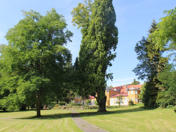 2021-06-10_Gut-Escheberg_ccbySchuesslerTAGNPH_web