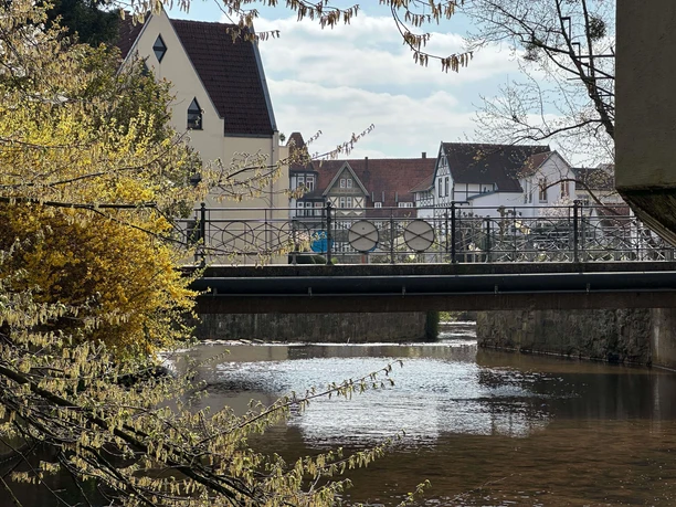 Sebastian-Kneipp-Brücke über der Salze mit Fachwerkhäusern und blühenden Zweigen